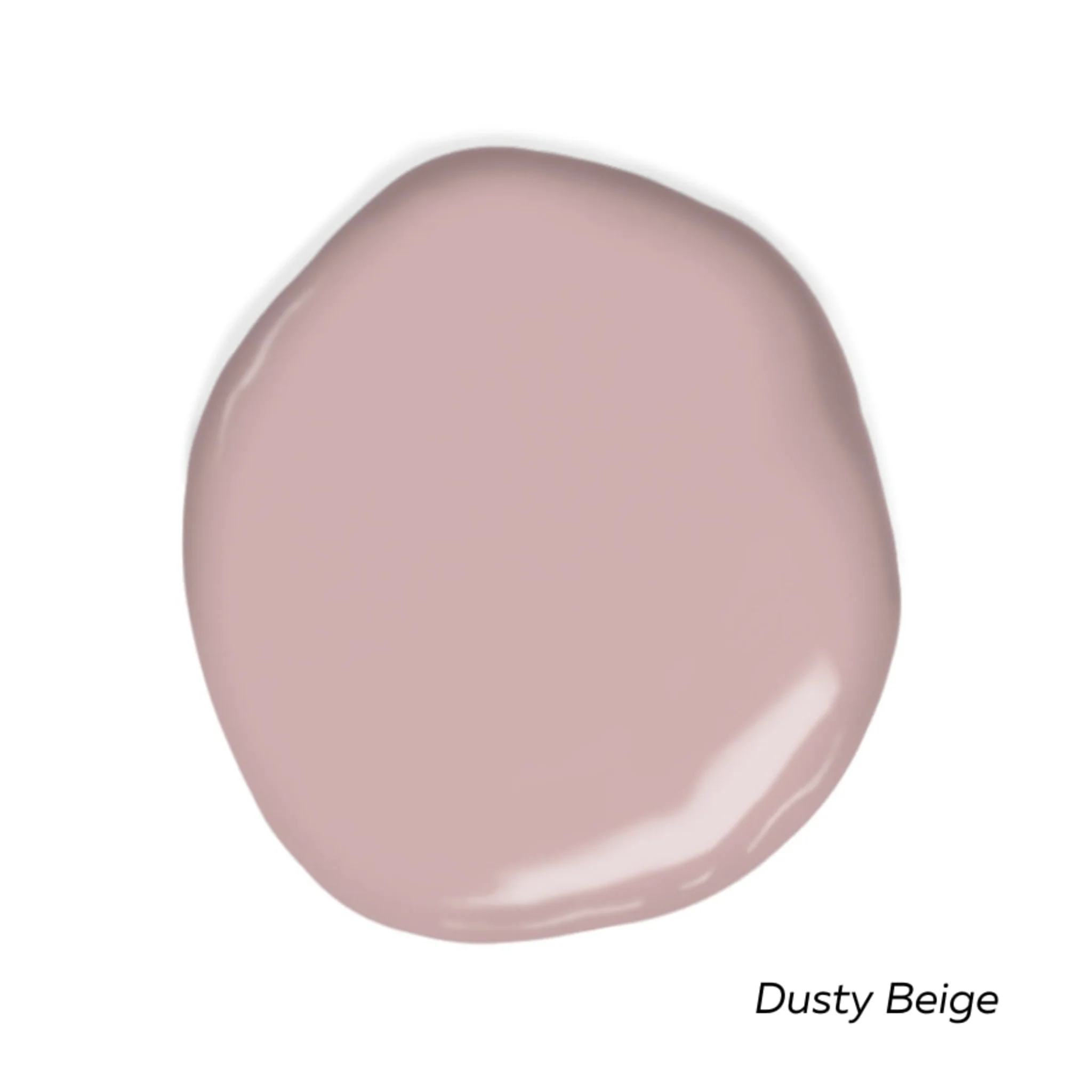 Front Door Palette Swatch Pack - Image 5