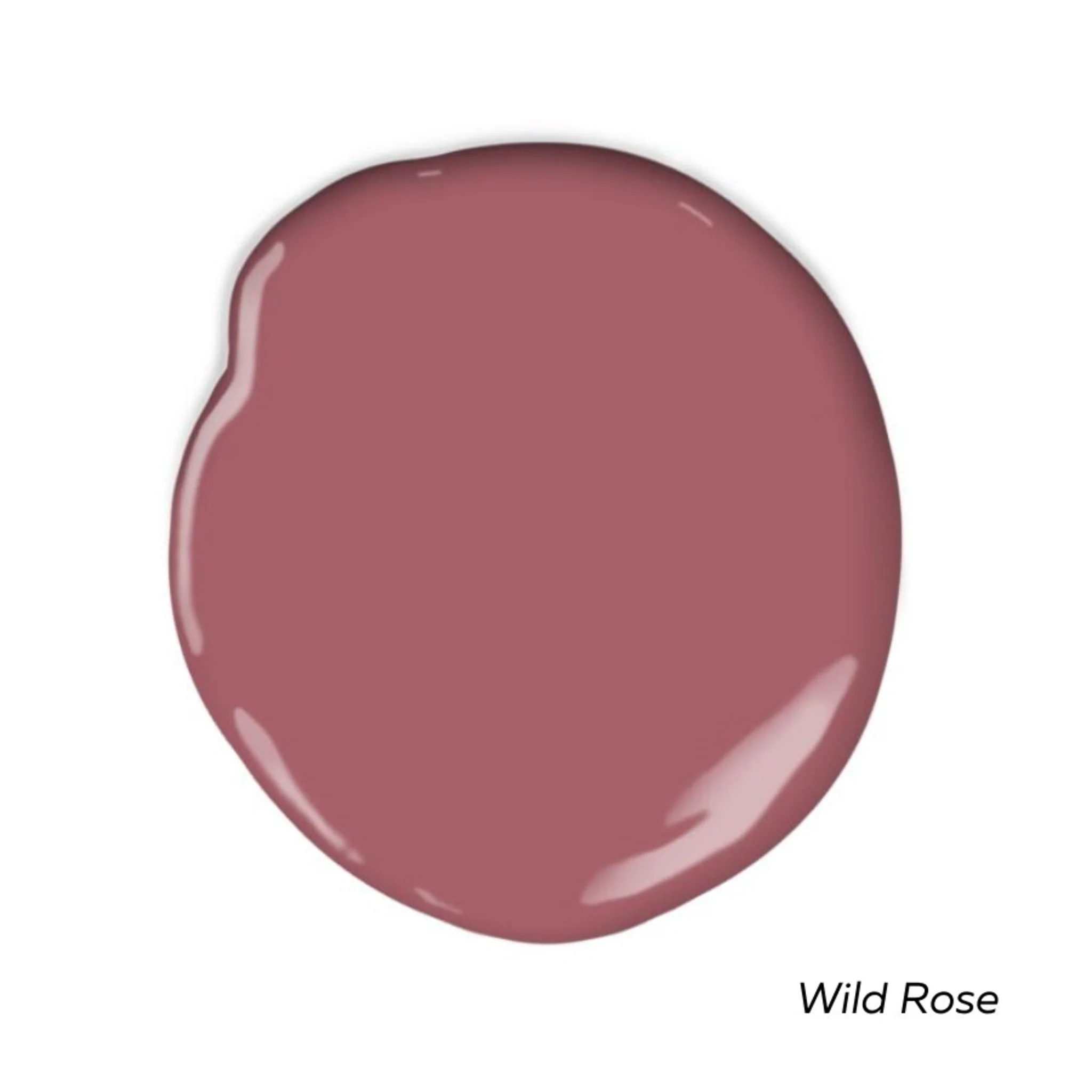 Pinks Swatch Pack - Image 5