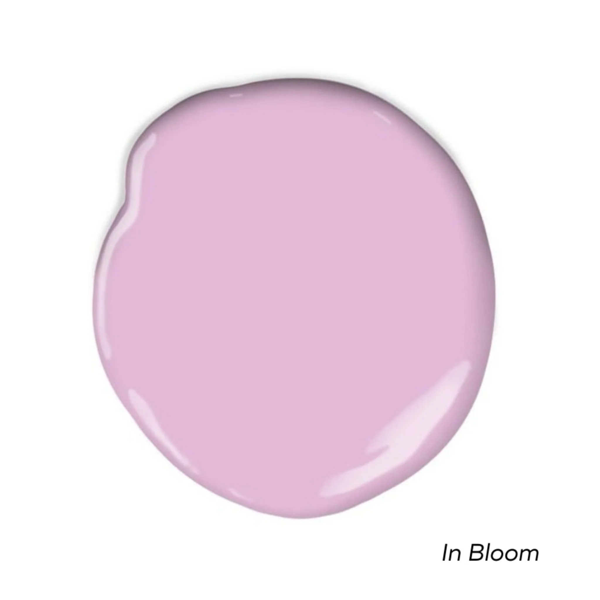 Pinks Swatch Pack - Image 7